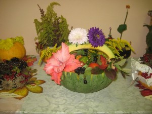 �����������