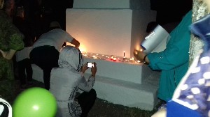 �����������