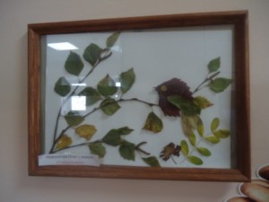 �����������