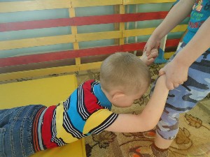 �����������