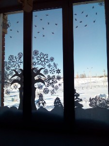 �����������