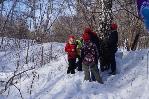 �����������