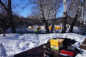 �����������