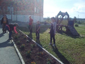 �����������