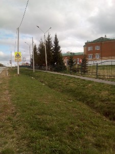 �����������