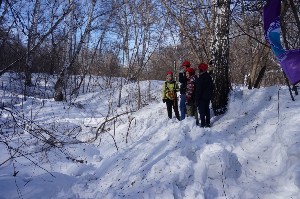 �����������