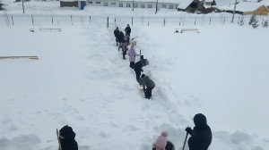 �����������