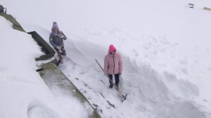 �����������