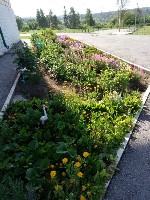 �����������