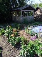 �����������