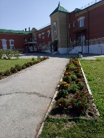 �����������