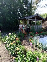 �����������