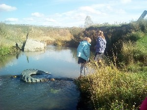 �����������