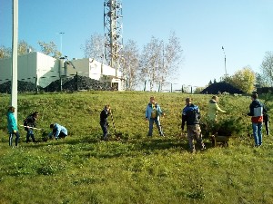 �����������