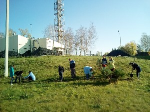 �����������