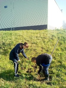 �����������