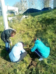 �����������