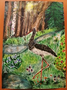 �����������