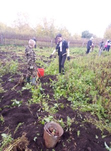 �����������