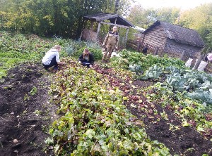 �����������