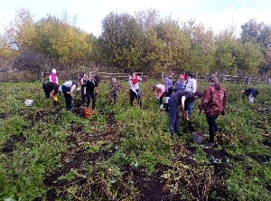 �����������