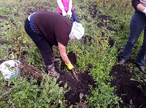 �����������