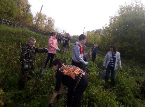 �����������