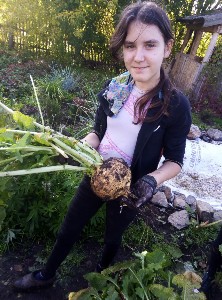 �����������