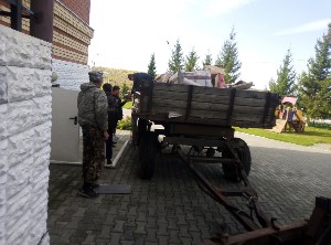 �����������