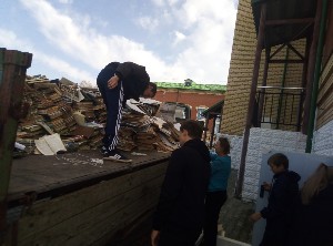 �����������