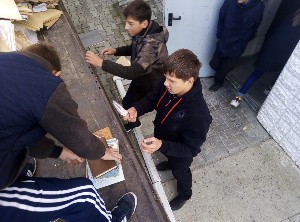 �����������