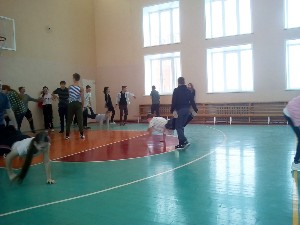 �����������