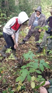 �����������