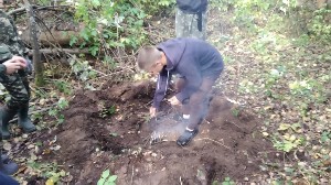 �����������