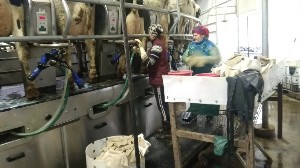 �����������